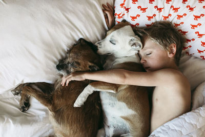 Overhead view of shirtless boy sleeping with dogs on bed