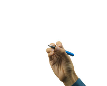 Close-up of hand holding bird against white background