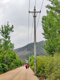 People on road amidst trees against sky