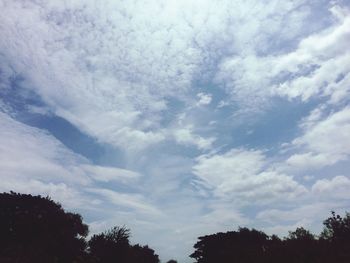 Low angle view of silhouette trees against sky