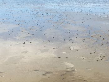 Full frame shot of wet sand