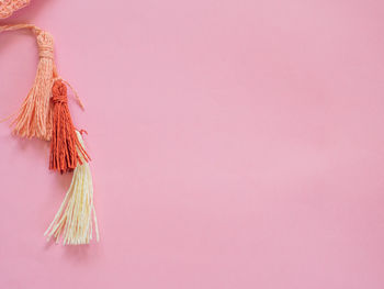 Close-up of pink hanging against wall