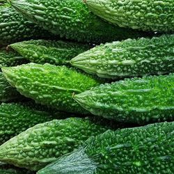 Close up of green leaves