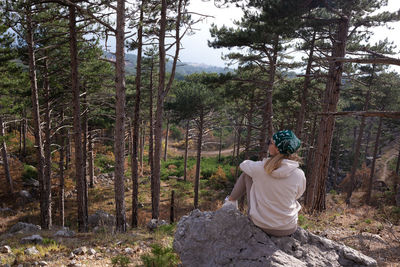 Rear view of man standing in forest