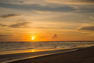 Scenic view of beach against sky during sunset