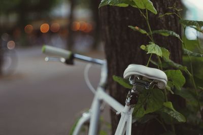 Close-up of white bicycle on tree by street in city