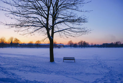 Bare tree on snow covered field against sky during sunset