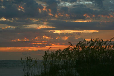 Scenic view of sea at sunset