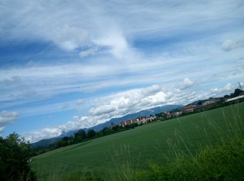 Scenic view of agricultural field against sky