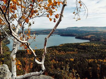 Scenic view of lake by tree during winter