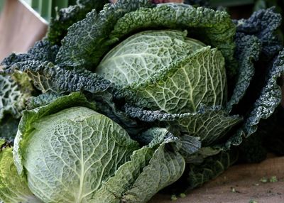 Close-up of cabbage