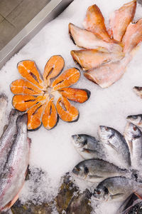 Display of fish in a market with a variety of species including salmon, cod, and halibut