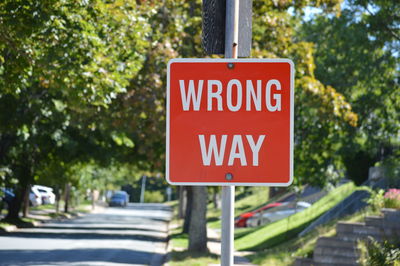 Close-up of road sign against trees