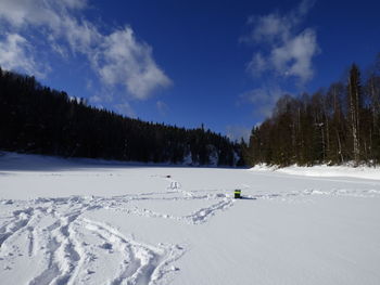 Snow covered land and trees against sky