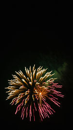 Low angle view of firework display against sky at night