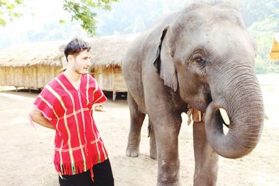 Portrait of young woman standing by elephant