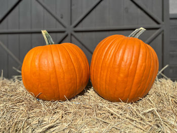 Pumpkins on field