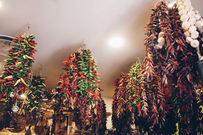 Low angle view of illuminated christmas tree