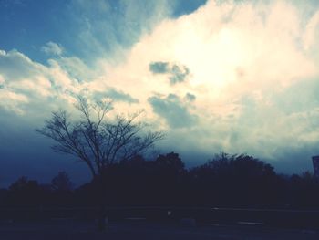 Bare trees against cloudy sky