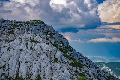 Low angle view of rock formation against sky