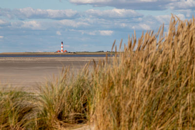 View of the westerheversand lighthouse from the dunes in front of st. peter ording