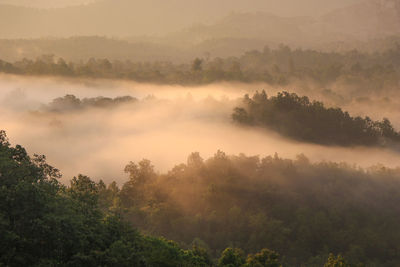 The mist that floats over the mountains beautifully