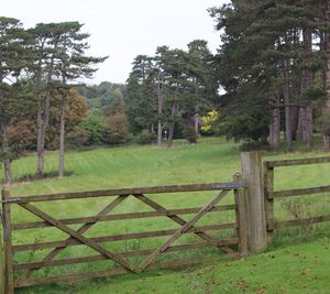 Fence on grassy field