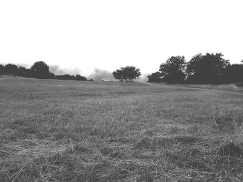 Scenic view of grassy field against clear sky