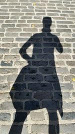 Shadow of man on wall