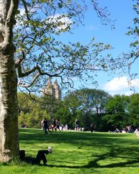 People relaxing in park