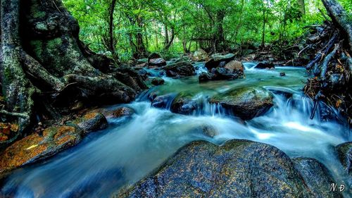 View of waterfall in forest