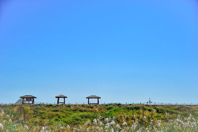 Scenic view of beach against clear blue sky