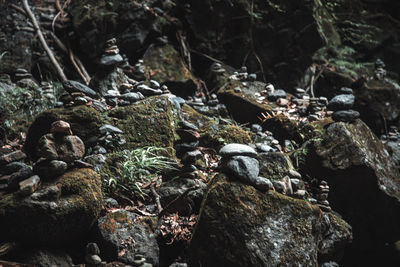 Close-up of rocks