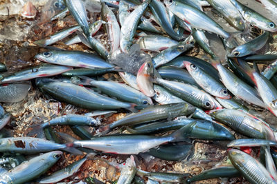 Full frame shot of fish for sale at market