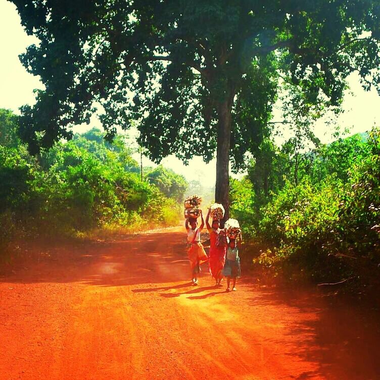 transportation, lifestyles, tree, leisure activity, men, riding, full length, land vehicle, bicycle, mode of transport, rear view, togetherness, on the move, person, cycling, travel, road