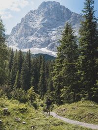 Man against trees in forest