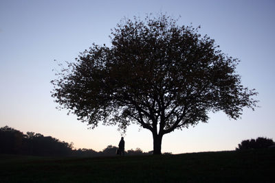 Silhouette tree on field against clear sky