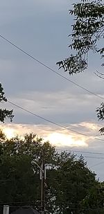 Low angle view of silhouette tree against sky