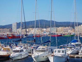 Sailboats moored at harbor against clear sky