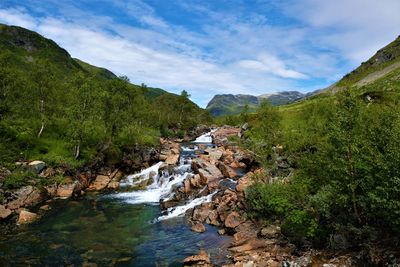 Scenic view of river amidst trees against sky