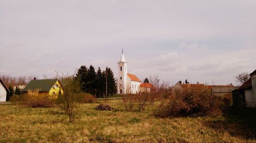 Panoramic view of trees against sky