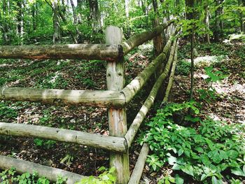 Wooden structure on field in forest