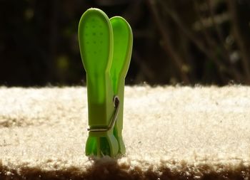 Close-up of green toy on field