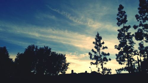 Silhouette of trees at sunset