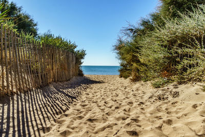 Scenic view of beach against clear blue sky