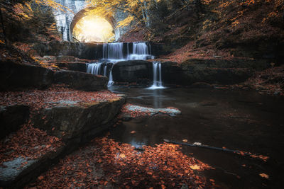 View of waterfall in forest