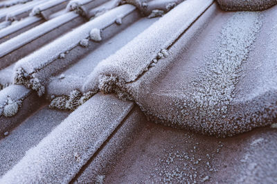 Close-up of ice cream in snow