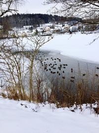 Scenic view of frozen lake against sky during winter