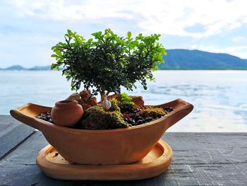 Close-up of potted plant on table by sea against sky