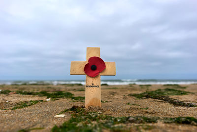 Close-up of graveyard on field against sky